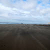 McClure's Beach- blowing sand