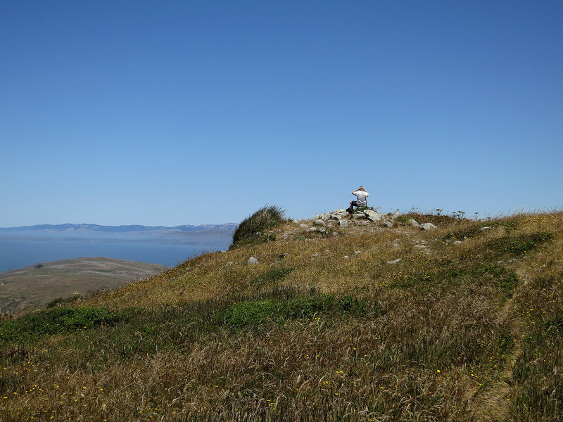 Sweeping views from Tomales Point Trail