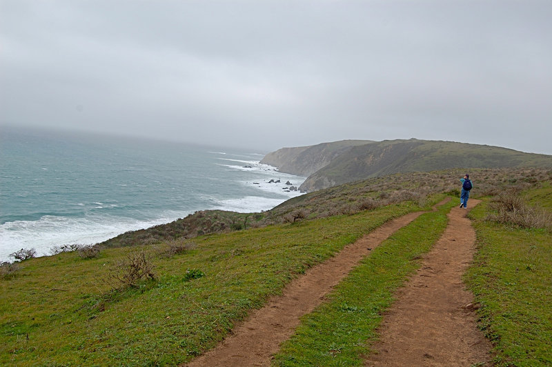 Tomales Point