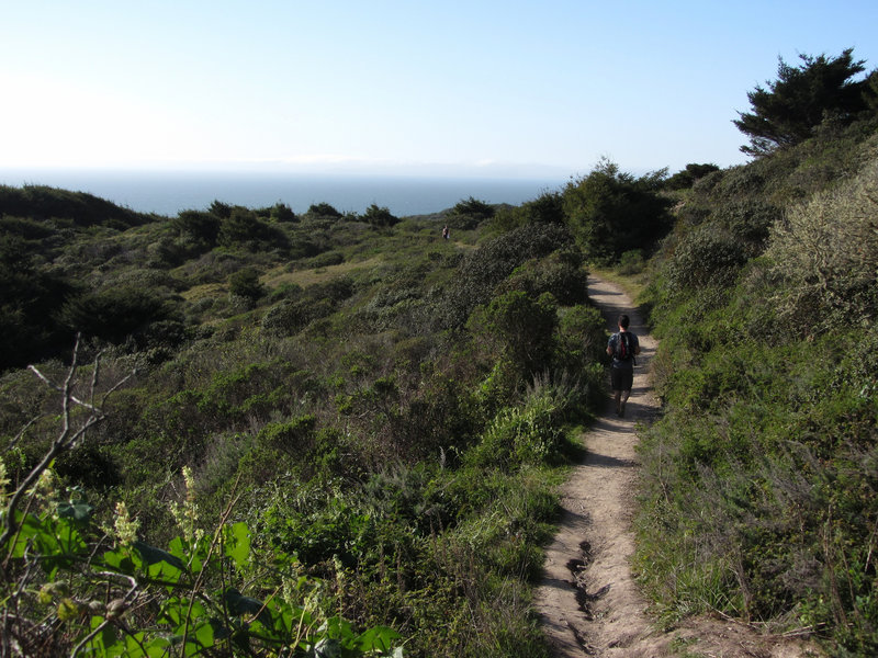 California coastal trails are delightful