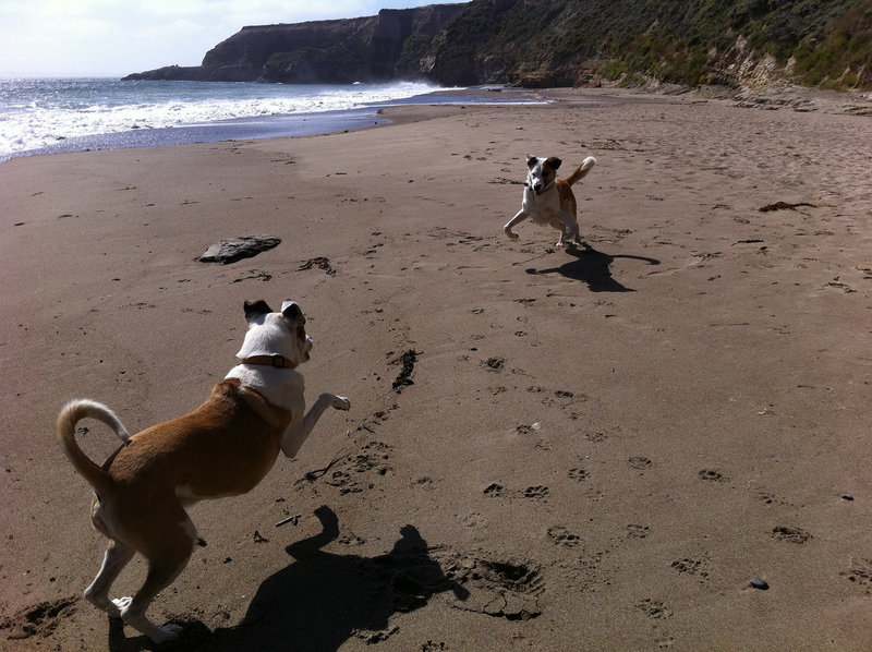 Everyone enjoys Kelham Beach