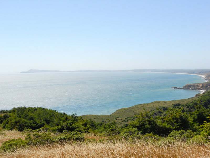 Drakes Bay in the distance- from the Coast Trail - North