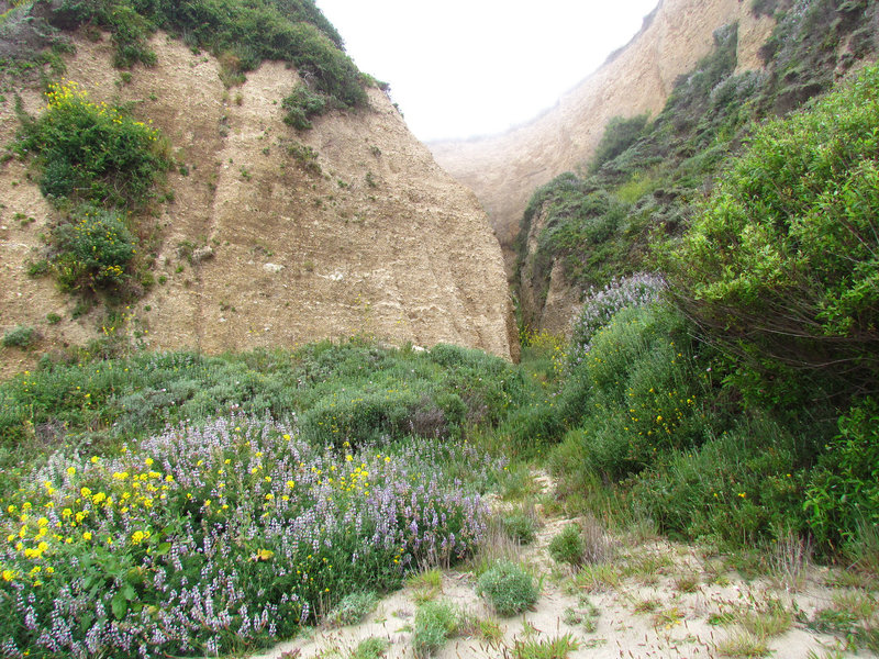 Great cliff sides