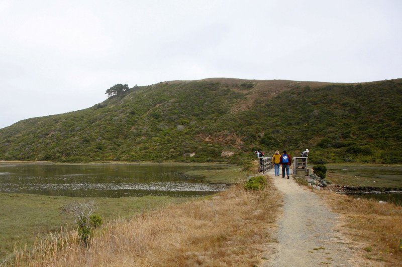 Point Reyes, Estero Trail bridge