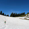 Another last look of snow.. descending!