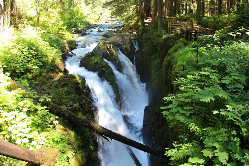 Sol Duc Falls