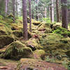 Lena Lake Trail