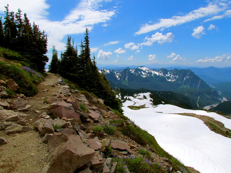 Mount Rainier National Park