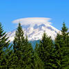 Mount Rainier National Park