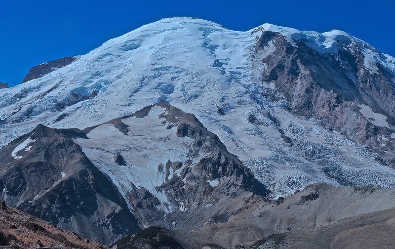 Mt Rainier, from Burroughs Mt