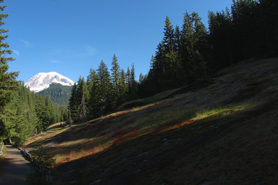 Taking the shade in Box Canyon trail.
