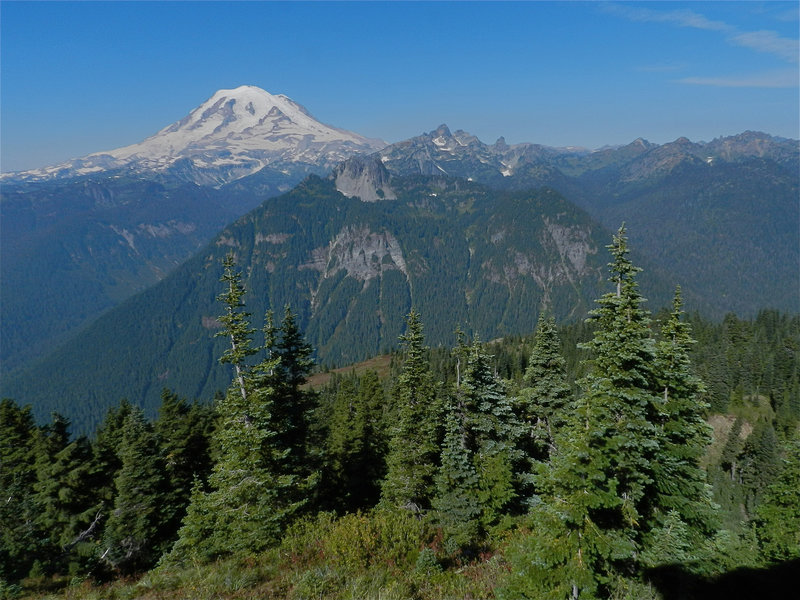 Mt Rainier, from the Shriner Peak lookout