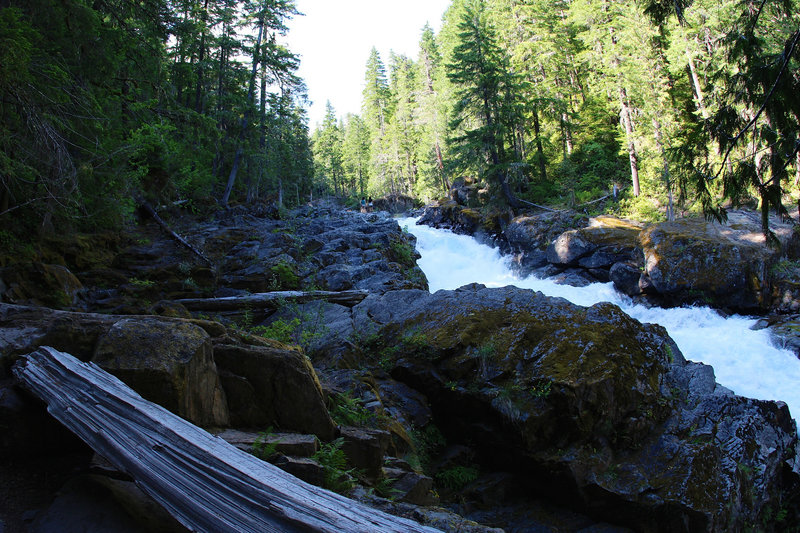 Ohanapecosh rapids