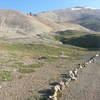 Mt Sherman with snow and Dauntless mine on the left