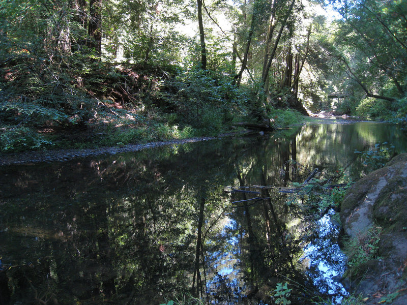 Lagunitas Creek