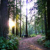 Bolinas Ridge Turnoff