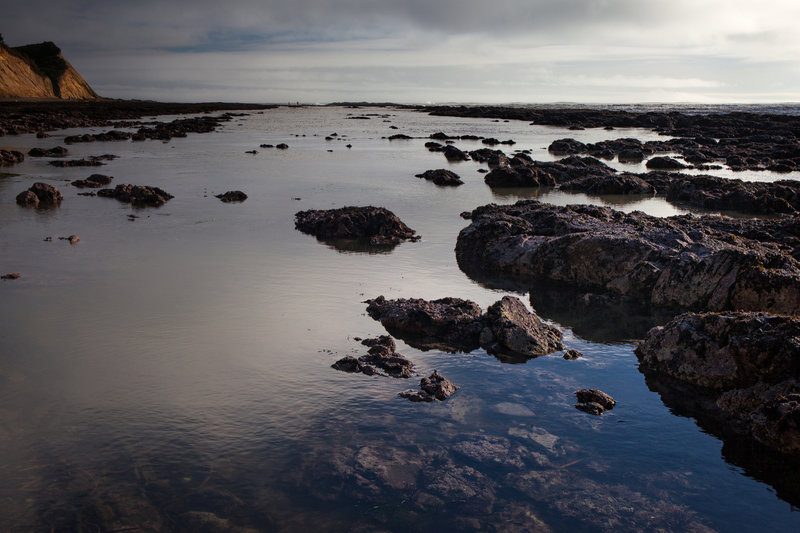 Duxbury Reef, California