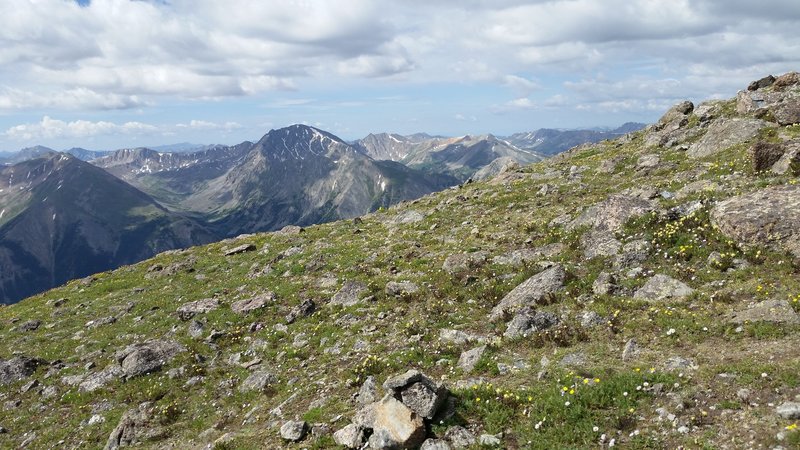 View of La Plata peak from the Black Cloud Trail