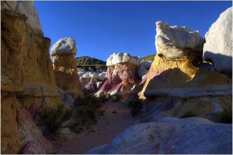 Painted rock!