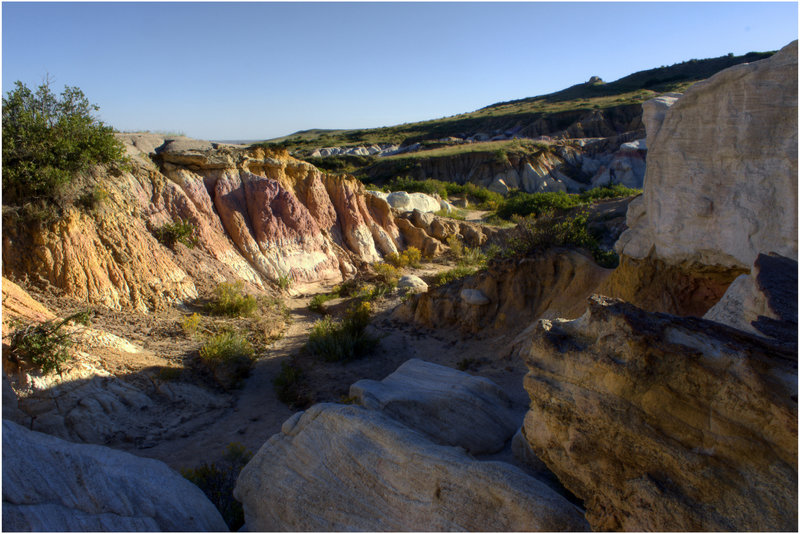 A lush little valley in Paint Mines.