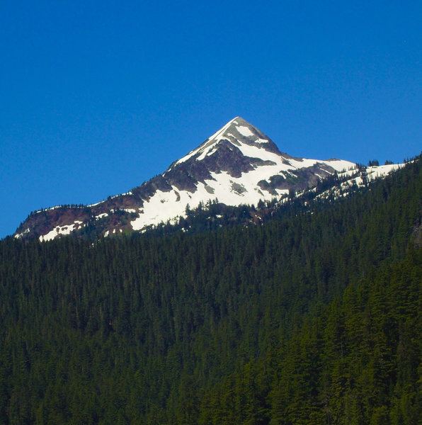 Mt Rainier from Kautz Creek