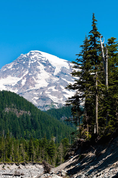 Mount Rainier from Wonderland Trail.