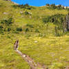 Above treeline on Spray Park.