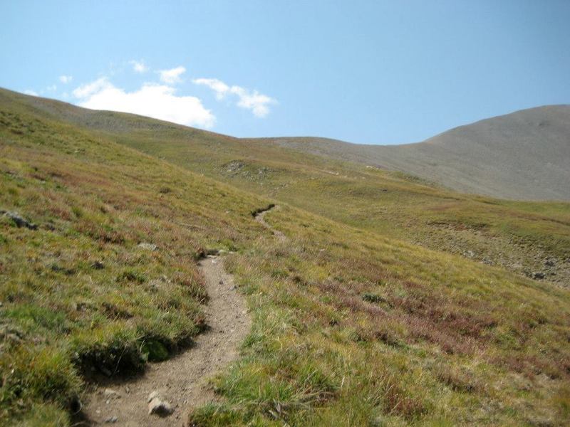 Great trail approaching the summit ridge.  On Stewart Creek trail