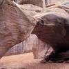 Sand Dune Arch