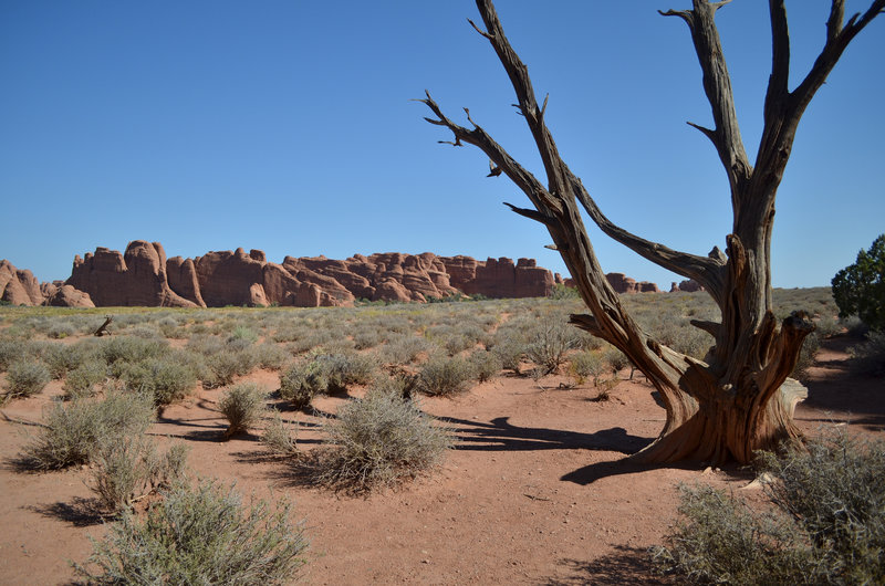 This access trail leads off to the Broken Arch Loop Trail, from Sand Dune Arch Trail.