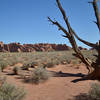 This access trail leads off to the Broken Arch Loop Trail, from Sand Dune Arch Trail.