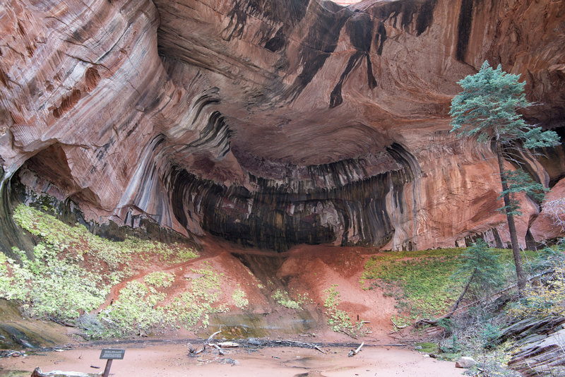 Double Arch Alcove