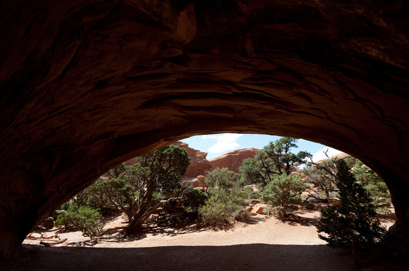 Navajo Arch