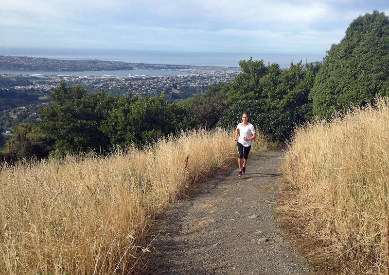 Great views of Dunedin on the Pineapple Track.