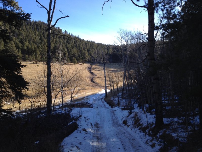 One of the steeper hills, mostly once the road goes into those trees across the clearing.