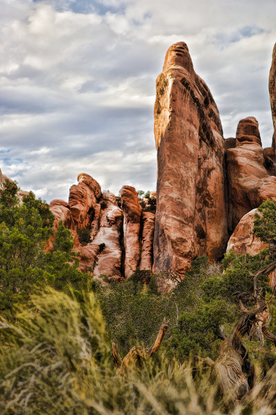 About to enter the fin canyons of Devils Garden Main Trail