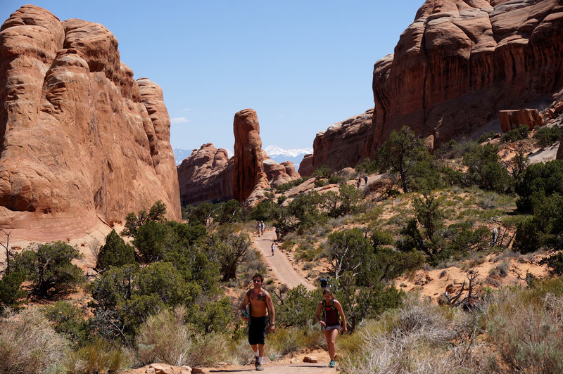 Flat terrain on Devils Garden Main Trail