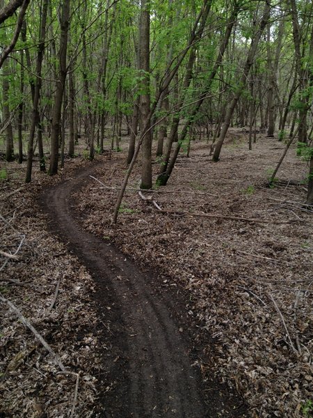 Trail A just after initial construction in May 2014.