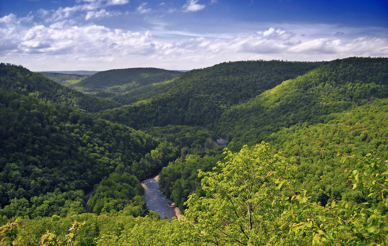 Loyalsock Canyon Vista