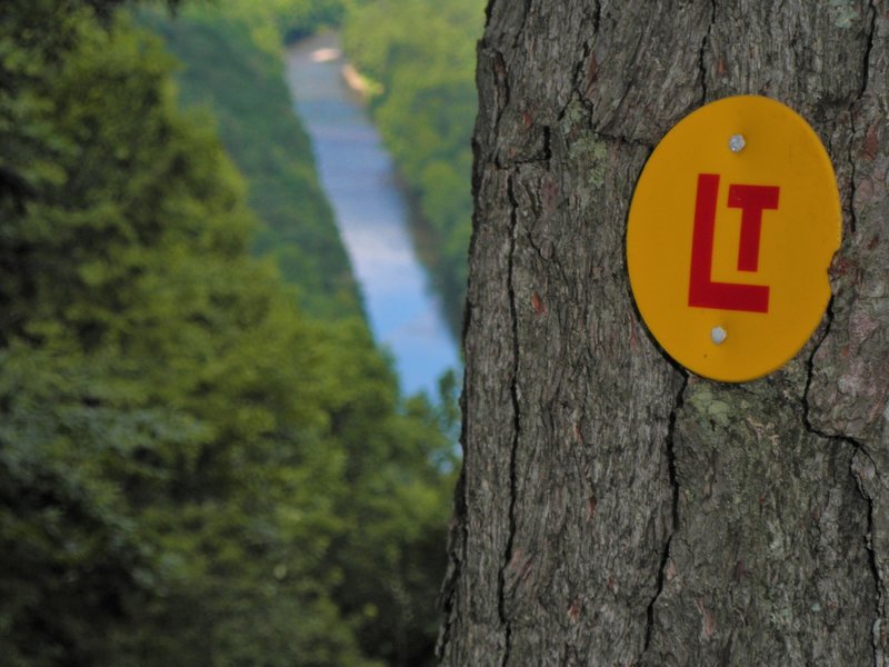 Vista of Loyalsock Creek and Loyalsock Trail marker