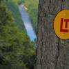 Vista of Loyalsock Creek and Loyalsock Trail marker