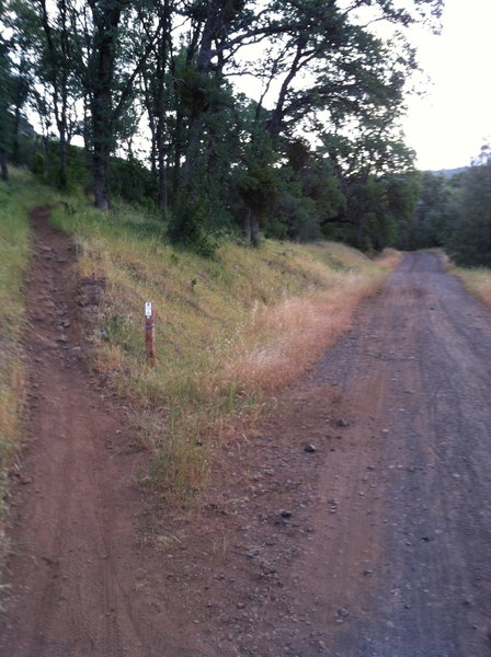 intersection of B Trail and park road