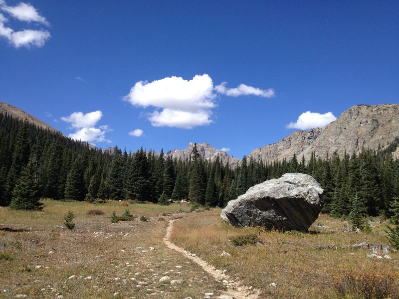 Near the intersection with the St. Vrain Glacier trail.