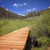 They just reworked the singletrack portion of this trail this past summer, can you spot the border collie?