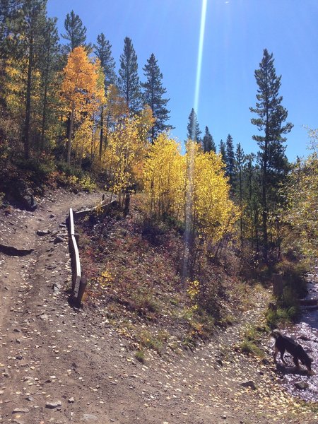 Make sure to take this fork left at the river to continue on to Peaks trail, this is where you pass over Miner's Creek Rd