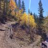 Make sure to take this fork left at the river to continue on to Peaks trail, this is where you pass over Miner's Creek Rd