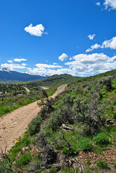 Looking north on Oro Grande trail towards the Gore Range