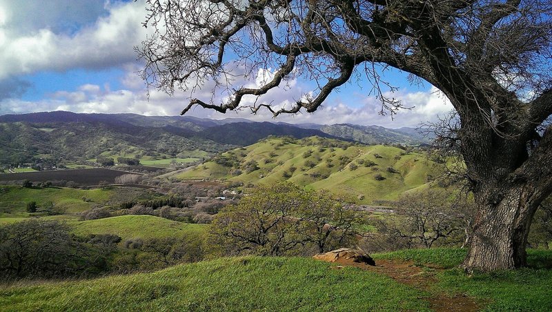 1st Tower with a view of Vaca Valley facing I-80. Amazing view in the winter, when everything is green!