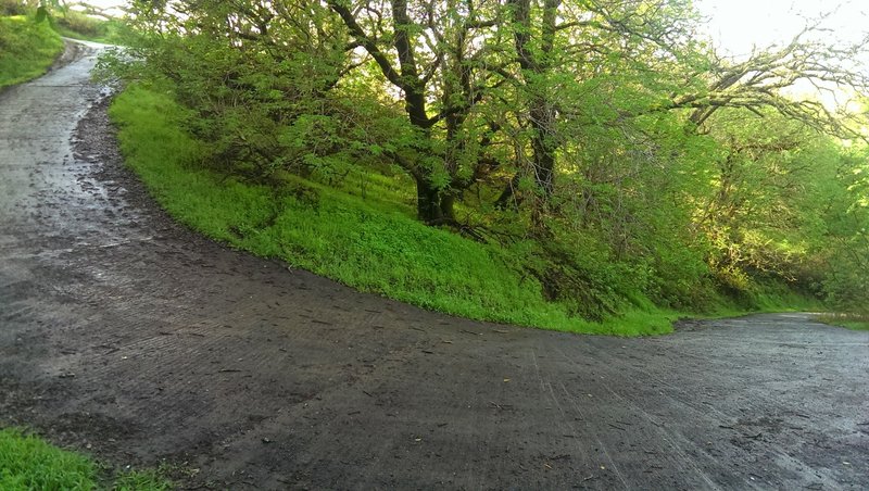 Photo of the Service Road Switchback. Short Steep grades found here. At least you have sure footing.