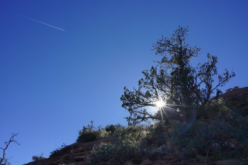 Jet flare against scrubby foreground.